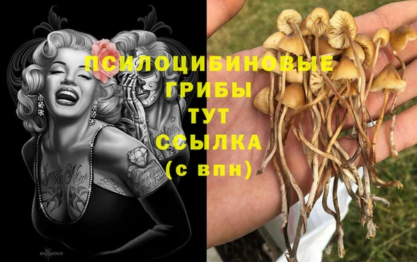 мет Богданович