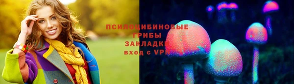 эйфоретик Богородицк