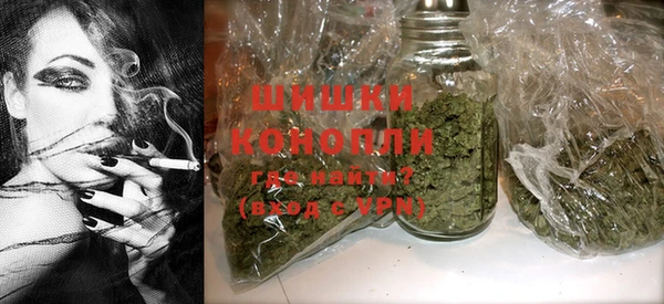 дмт Богородск