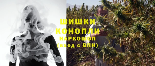 дмт Богородск
