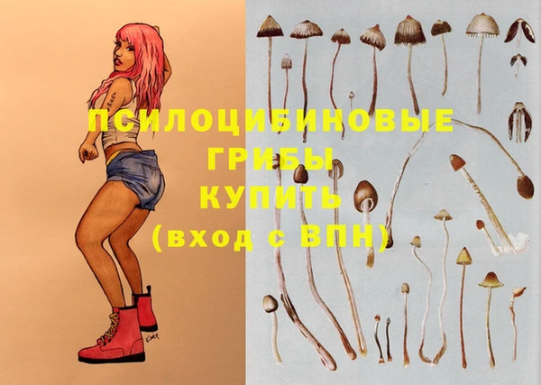 мет Богданович