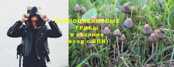 эйфоретик Богородицк
