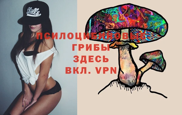 дмт Богородск