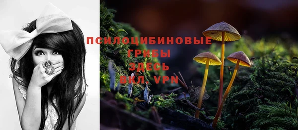эйфоретик Богородицк
